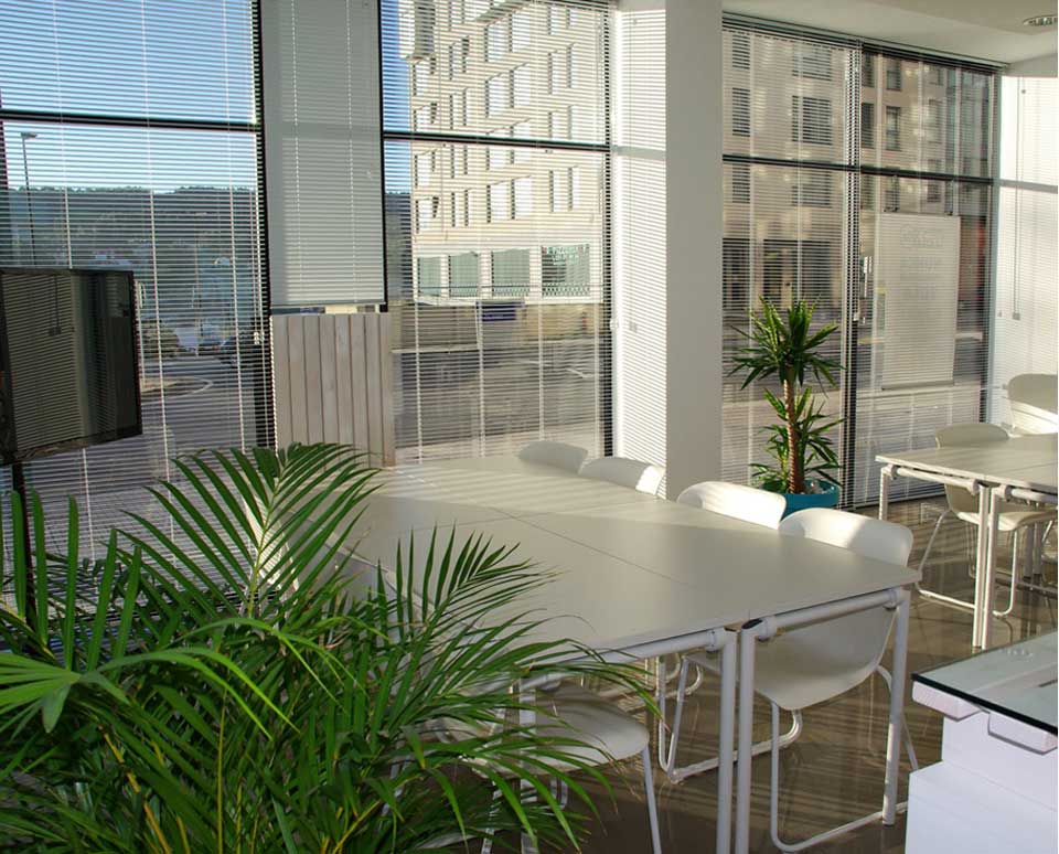 venetian blinds in an office