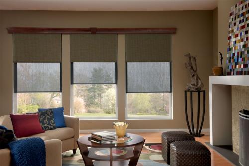 lounge room blinds